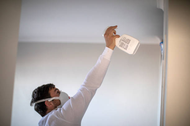 Best Best Mold Removal Companies  in Pembroke, VA