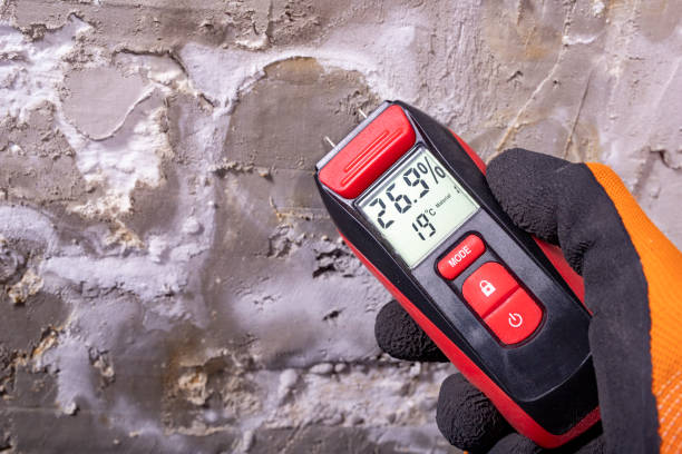Best Mold Damage Repair  in Pembroke, VA