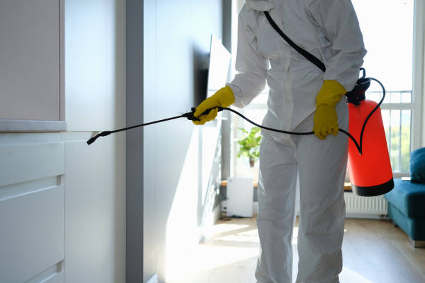Best Affordable Mold Removal  in Pembroke, VA