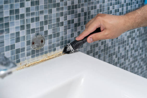 Best Black Mold Removal  in Pembroke, VA